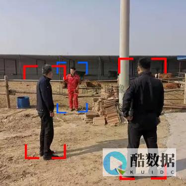 行业动态