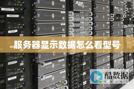 行业动态