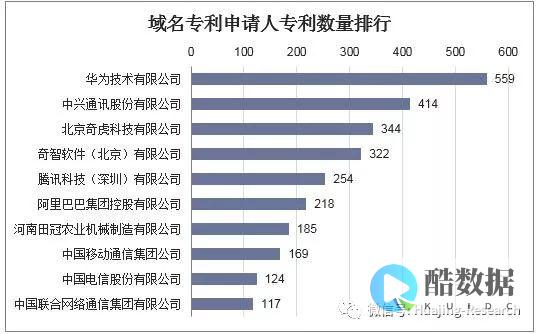 国家域名的分类与特点是什么 (国家域名的分类标准)