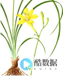 行业动态