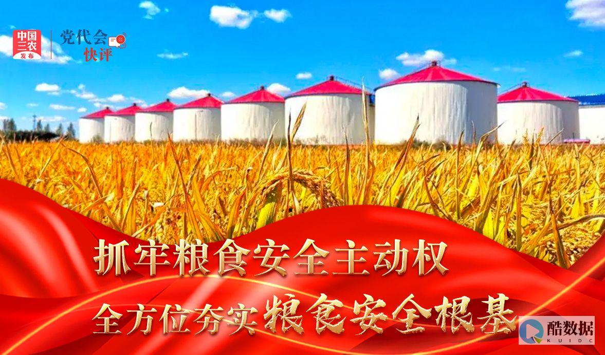 如何确保服务的持续性