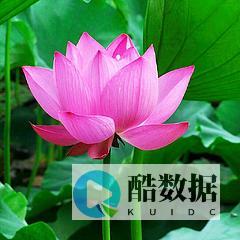 葵湾器立减150元月付450元其余8折