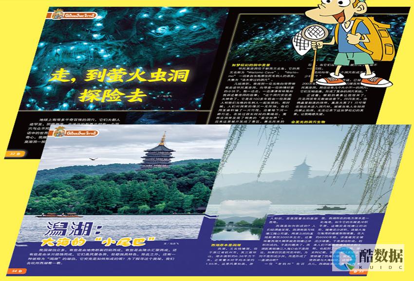 深入探析海外独立IP服务器的重要性与优势 (深入探析海外经济发展)
