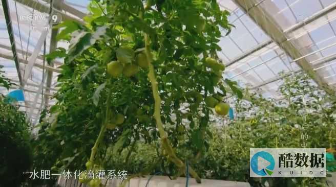 该如何应对