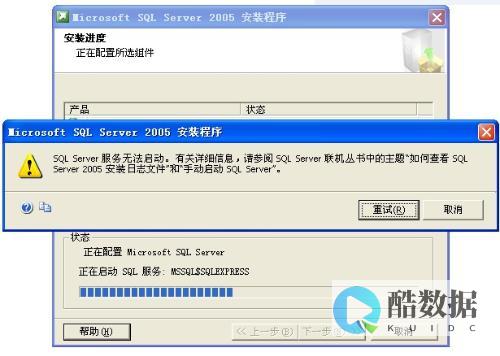 无法用服务器IP访问网站是什么原因 (无法用服务器连接网络)