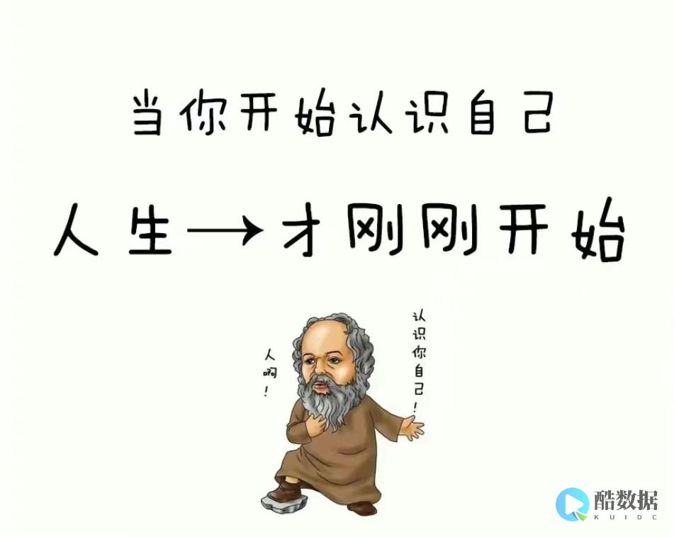 行业动态