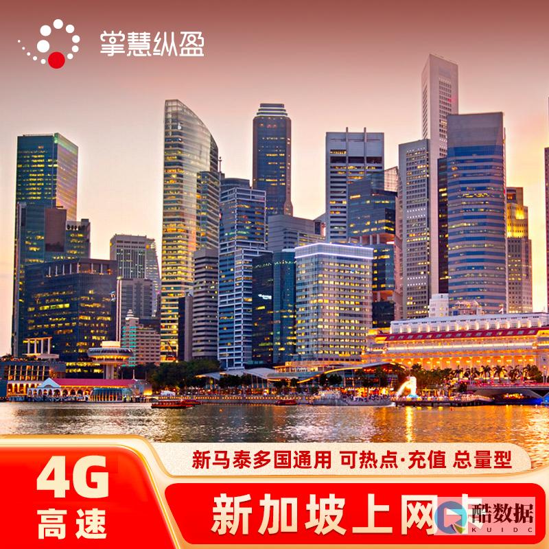 新加坡大流量服务器租用
