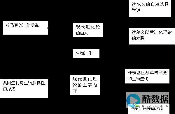 探讨在选择DDoS防护服务时需要考虑的关键因素 (讨论选择)