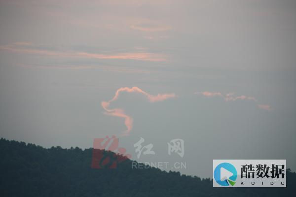 狗云：双十一活动，香港vps云服务器7折起，独服立减100元充值再送 (双十一猫狗大战图片)