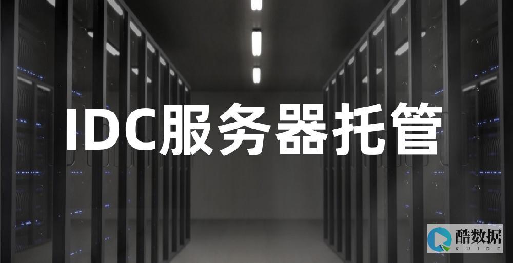 IDC服务器租用及增值税的全面指南 (IDC服务器是什么)