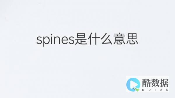 SpinServers：幻兽帕鲁服务器，美国便宜VPS仅需$25 (spinner)