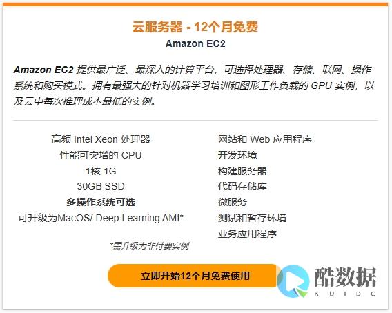 美国云服务器：全球跨境电商平台的强力后盾 (美国云服务器提供商)