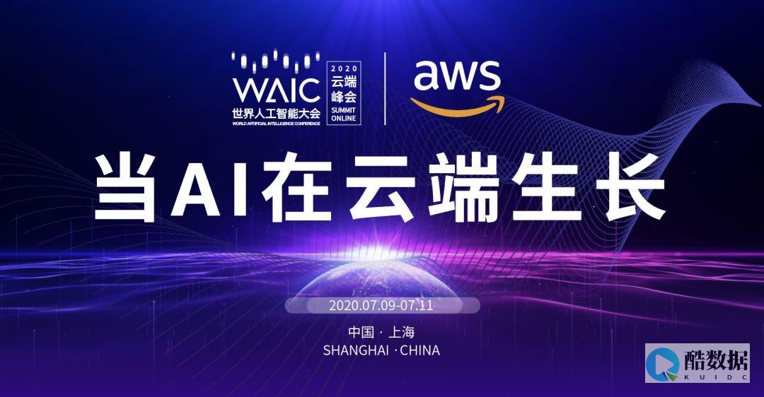 亚马逊云的数据分析与预测服务在企业决策中的应用 (亚马逊云数据中心)
