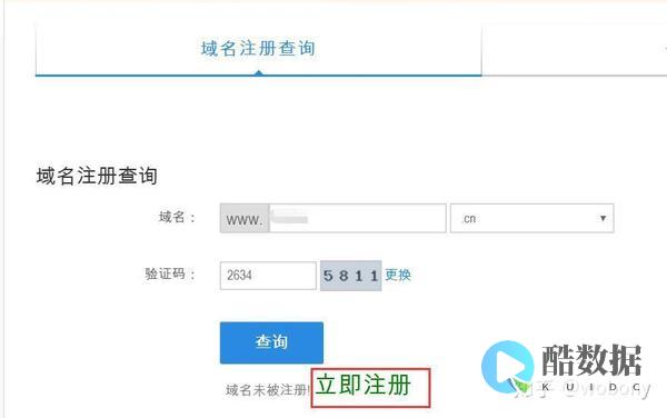 国外域名买什么服务器 (国外域名购买一般多少钱)