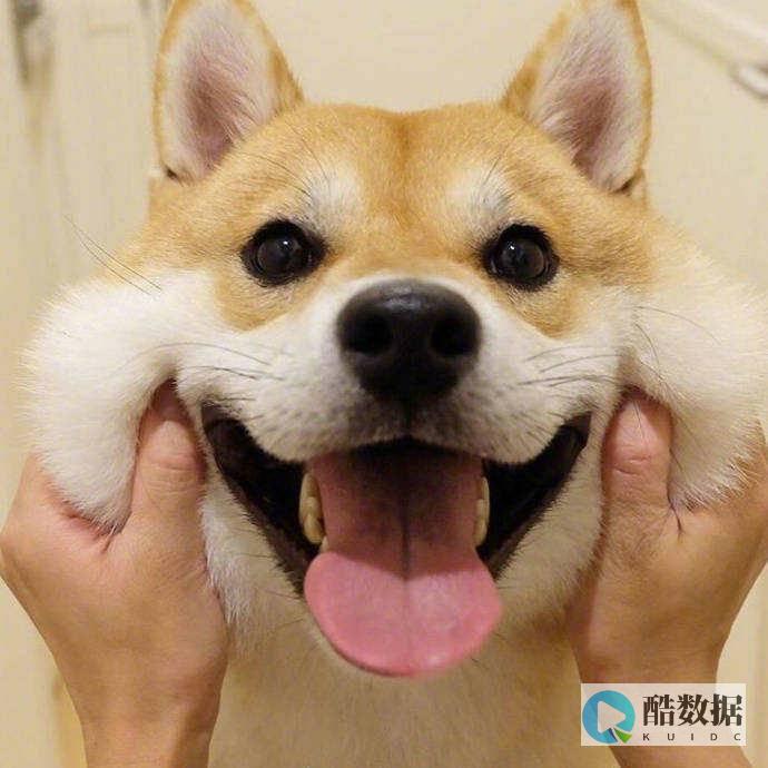 租用香港站群服务器
