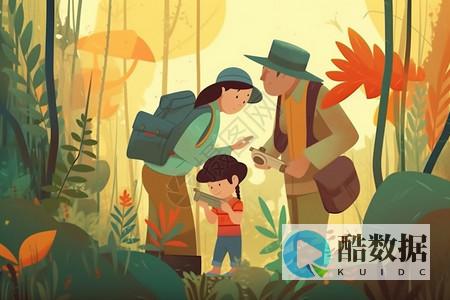 探索免费的美国云服务器服务及其优势 (探索免费的美术作品)