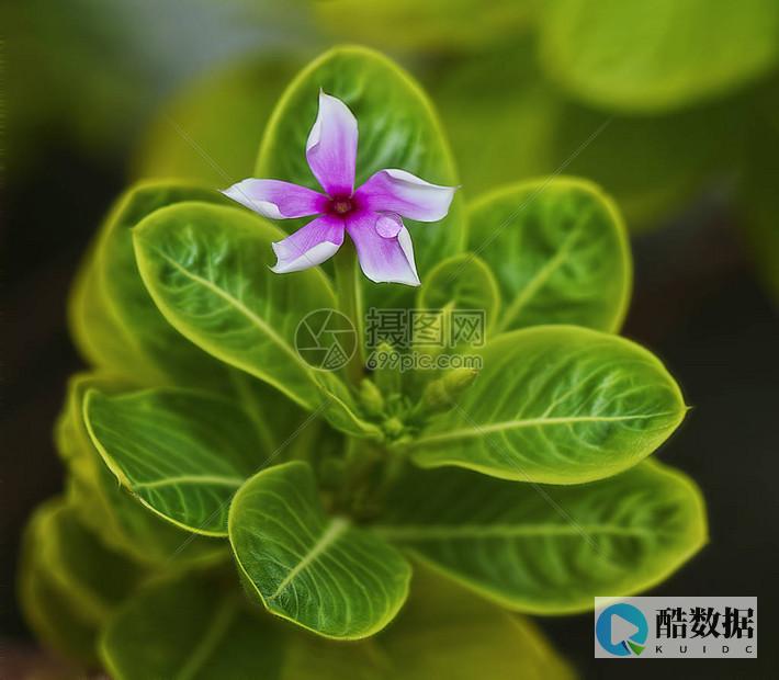 警惕！加泰罗尼亚政治家活动家受间谍软件攻击 (加泰罗尼)