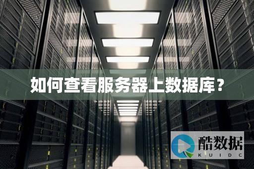 怎么看的ip地址