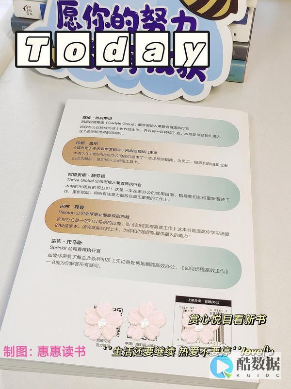 远程工作环境怎么样