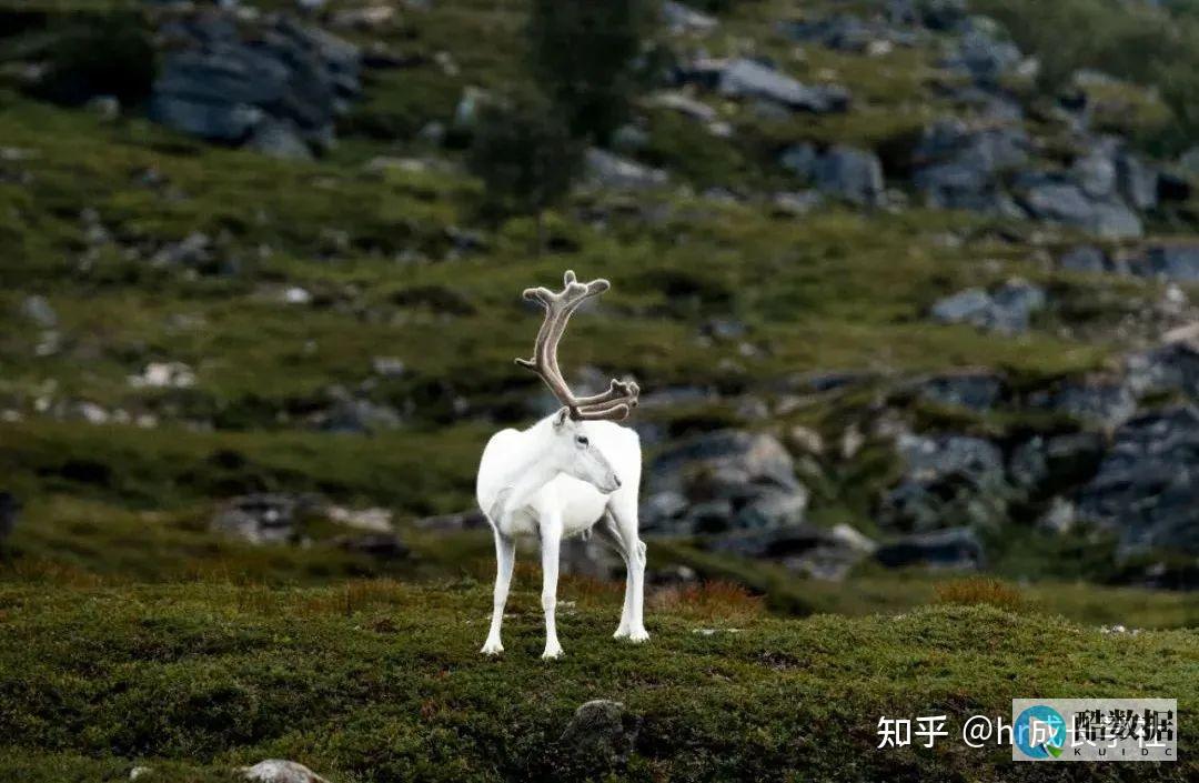 访问控制
