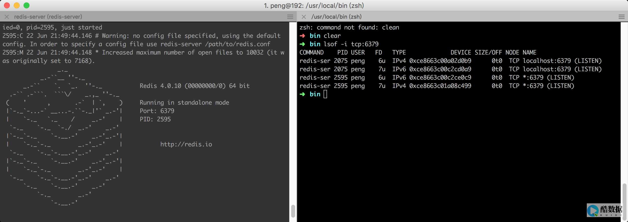 redis安装linux