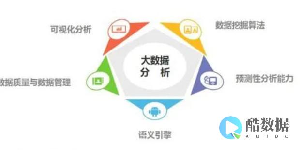大分析领域优秀公司