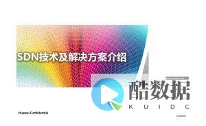 SDN最后的前沿与未来网络系统