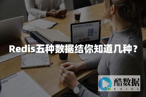 redis的结构存储方案