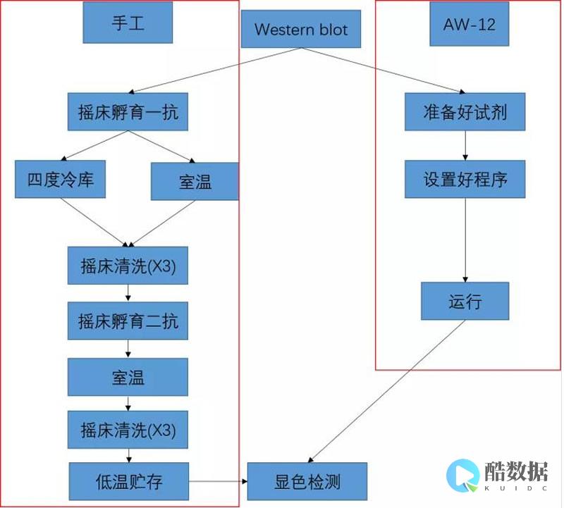 如何使用AWS进行网站托管？ (如何使用aWIFI免费上网?)