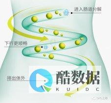 如何在Shopyy跨境独立站中和导出商品