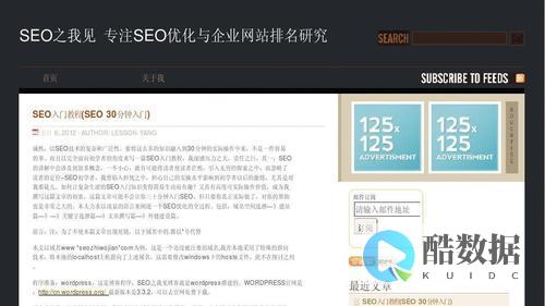 探讨SEO服务器在处理大流量访问时面临的挑战及解决方案 (seo服务)