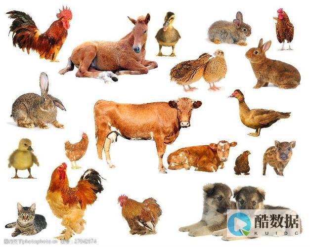 行业动态