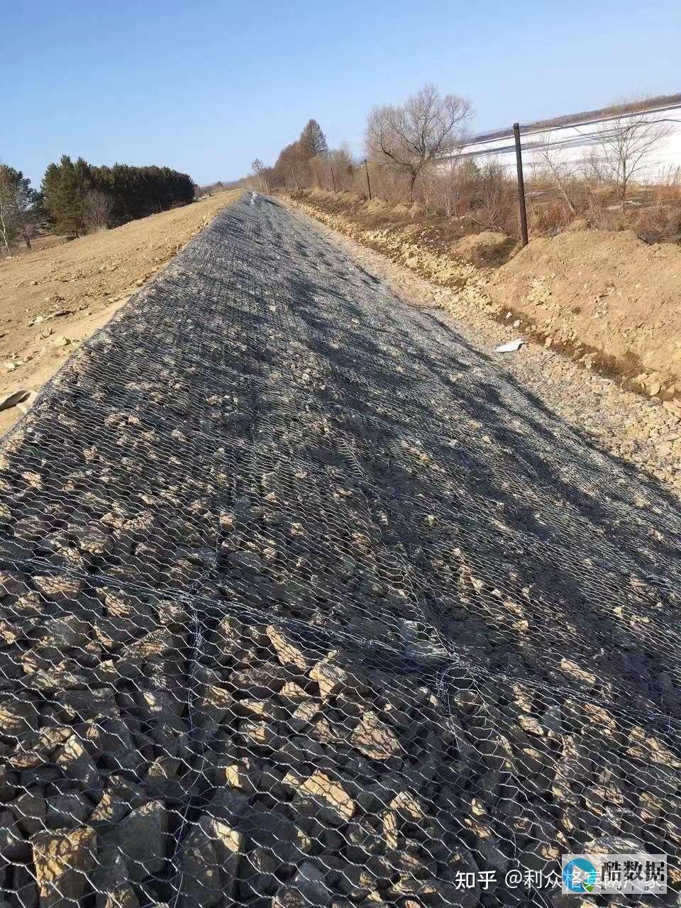 行业动态