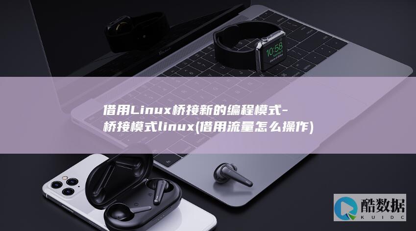 借用Linux桥接新的编程模式-桥接模式linux (借用流量怎么操作)