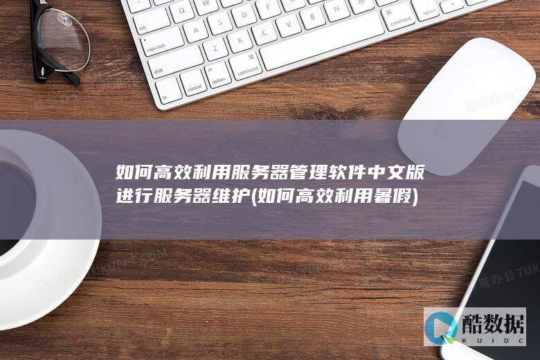 如何高效利用服务器管理软件中文版进行服务器维护