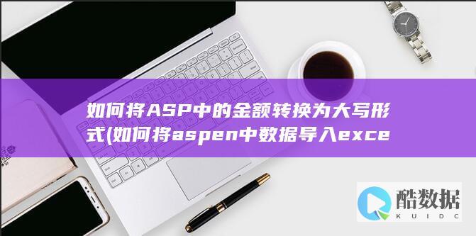 如何将ASP中的金额转换为大写形式 (如何将aspen中数据导入excel)