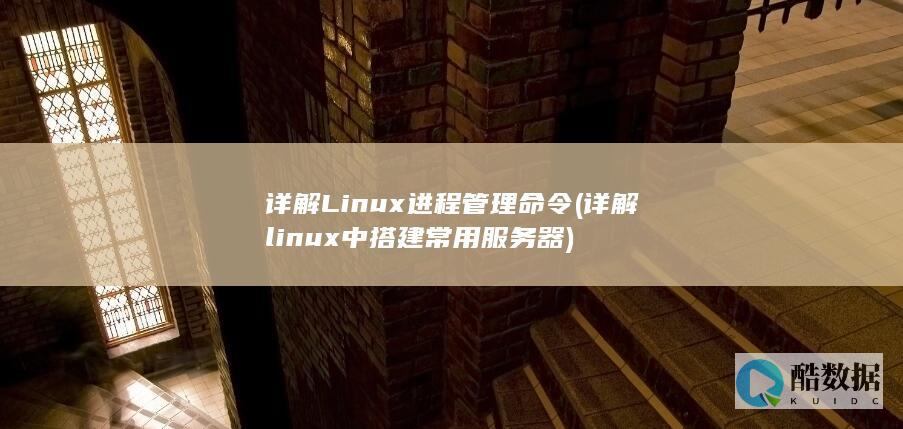详解Linux进程管理命令 (详解linux中搭建常用服务器)