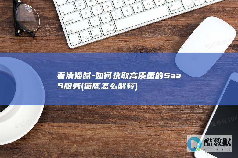 看清猫腻-如何获取高质量的SaaS服务 (猫腻怎么解释)