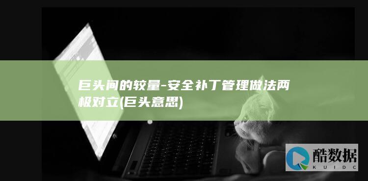 巨头间的较量-安全补丁管理做法两极对立 (巨头 意思)