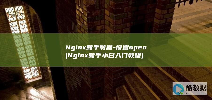 Nginx新手教程-设置open (Nginx新手小白入门教程)