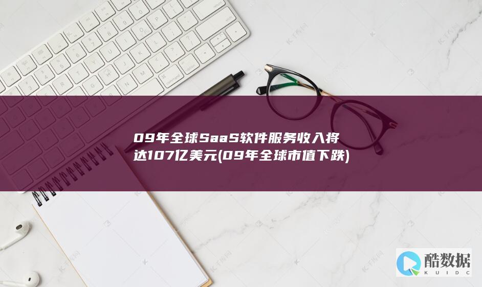 09年全球SaaS软件服务收入将达107亿美元 (09年全球市值下跌)