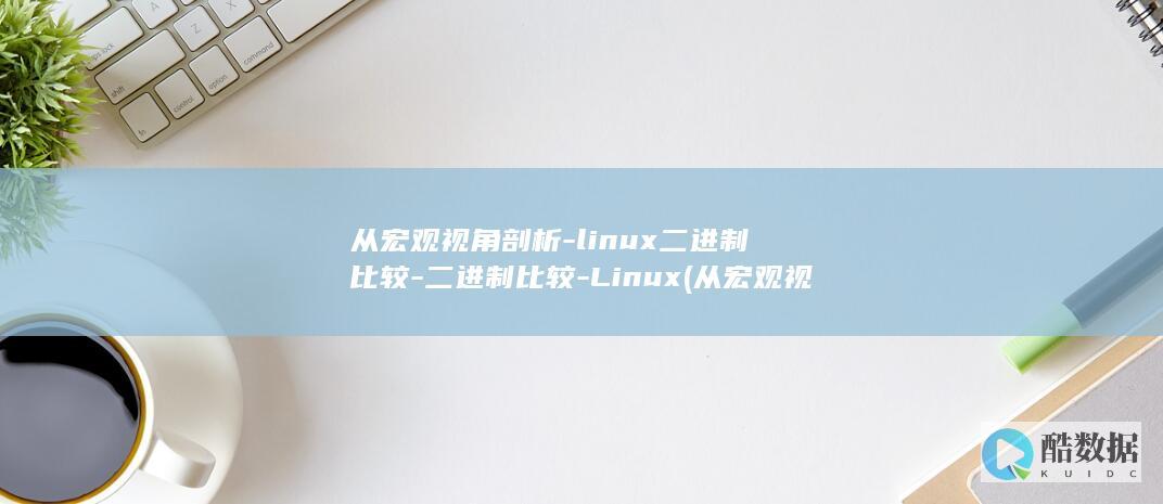从宏观视角剖析-linux二进制比较-二进制比较-Linux (从宏观视角剖析孔子)