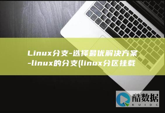 Linux分支-选择最优解决方案-linux的分支 (linux分区挂载详解)