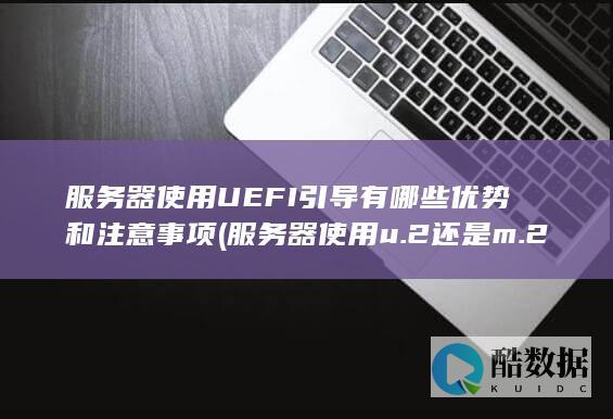 服务器使用UEFI引导有哪些优势和注意事项 (服务器使用u.2还是m.2)