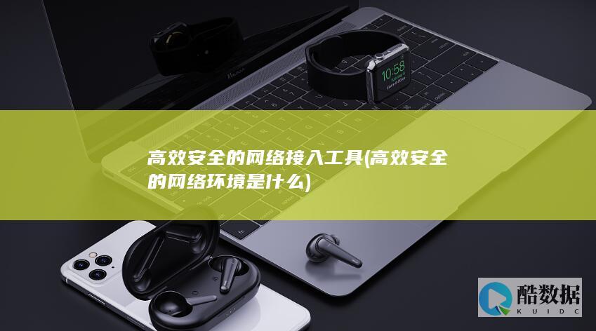 高效安全的网络接入工具 (高效安全的网络环境是什么)