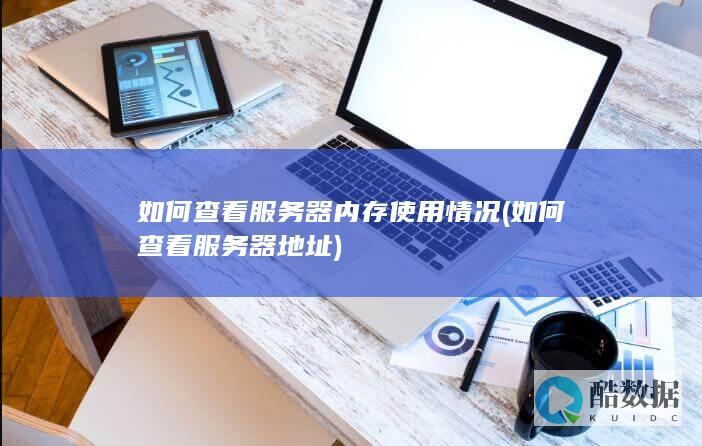 如何查看服务器内存使用情况 (如何查看服务器地址)