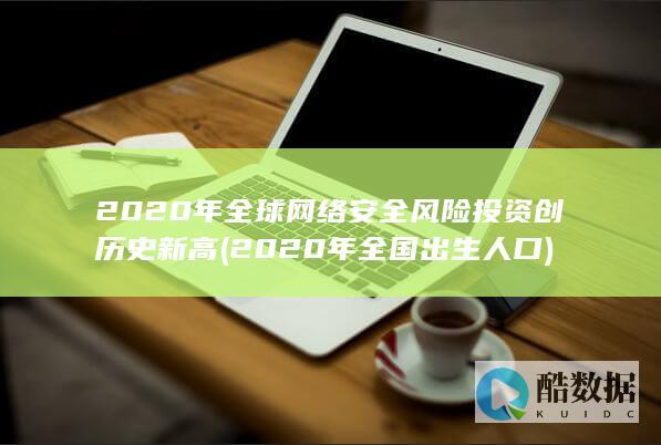 2020年全球网络安全风险投资创历史新高 (2020年全国出生人口)