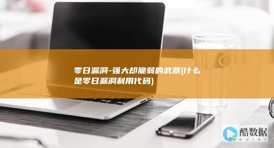 零日漏洞-强大却脆弱的武器 (什么是零日漏洞利用代码)