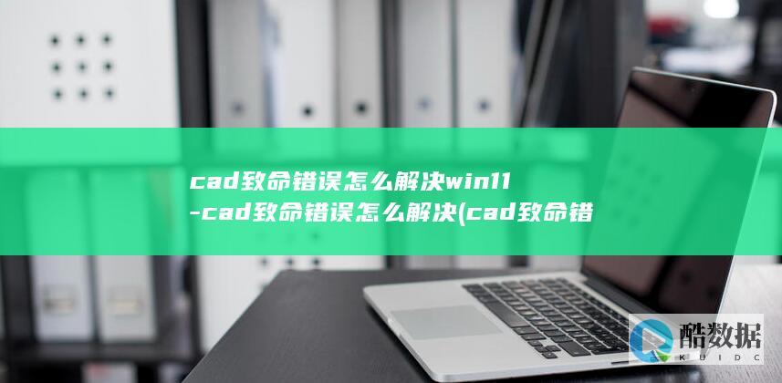 cad致命怎么解决win11