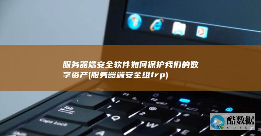 服务器端安全软件如何保护我们的数字资产 (服务器端安全组frp)